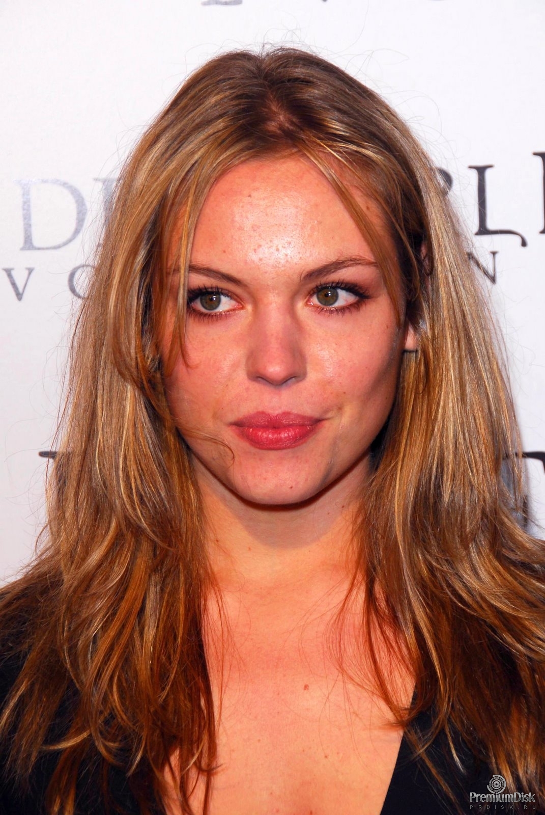 Agnes bruckner net worth