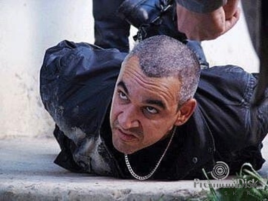 Алки Дэвид Фото 4