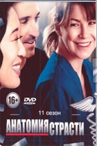 Анатомия страсти - DVD - 11 сезон, 24 серии