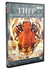 BBC: Тигр - Шпион джунглей - DVD