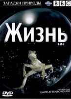 BBC: Жизнь - DVD - 1 сезон, 10 серий. 5 двд-р