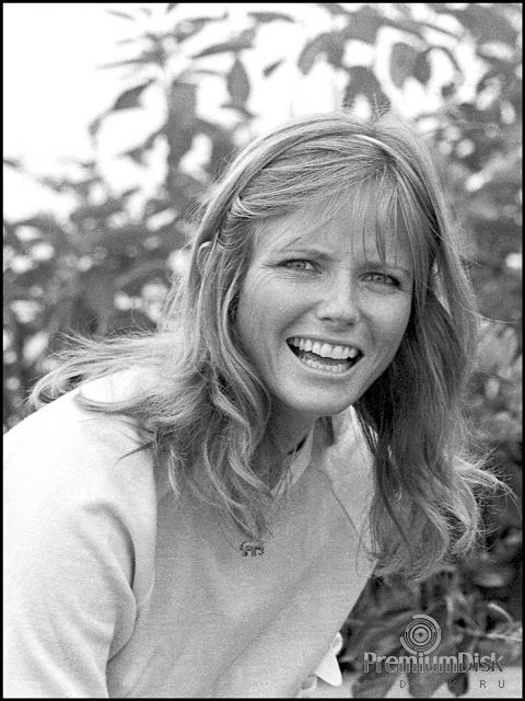 Cheryl Tiegs Фото 43