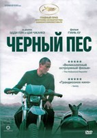 Чёрный пёс (2024) - DVD - DVD-R