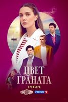 Цвет граната (сериал 2024) - DVD - 8 серий. 4 двд-р