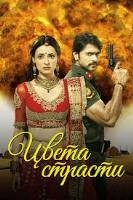 Цвета страсти (сериал 2013 – 2014) - DVD - 189 серий, 24 двд-р