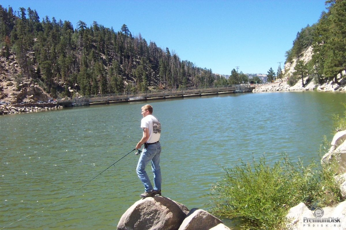 Дэвид МакДивитт Фото 4