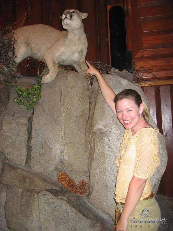 Дэбби Кэмпбелл Фото 13