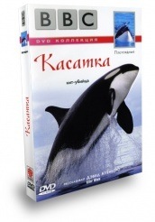 BBC: Касатка  - DVD