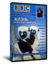BBC: Жизнь млекопитающих - DVD