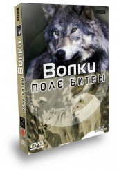 BBC: Поле битвы: Волки  - DVD