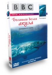 BBC: Большая белая акула - DVD