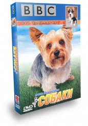 BBC: Собаки - DVD