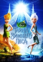 Феи: Тайна зимнего леса - DVD - DVD-R