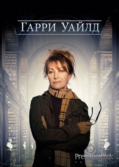 Гарри Уайлд (сериал)