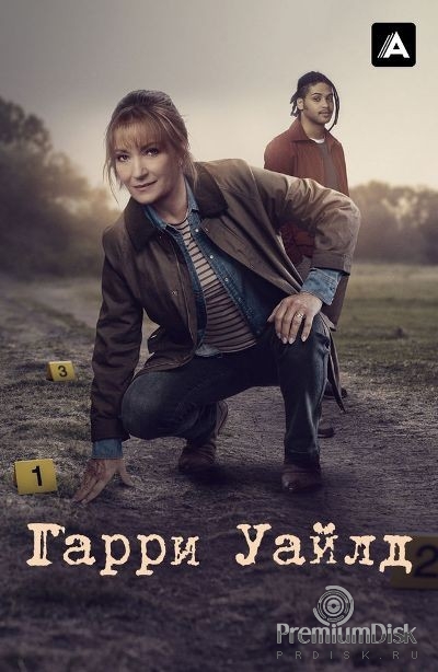 Гарри Уайлд (сериал)
