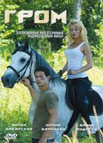 Гром - DVD - 8 серий, 4 двд-р в 1 боксе