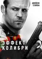 Эффект колибри - DVD