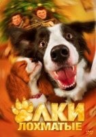 Ёлки лохматые - DVD - DVD-R