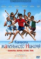 Каникулы маленького Николя - DVD - DVD-R