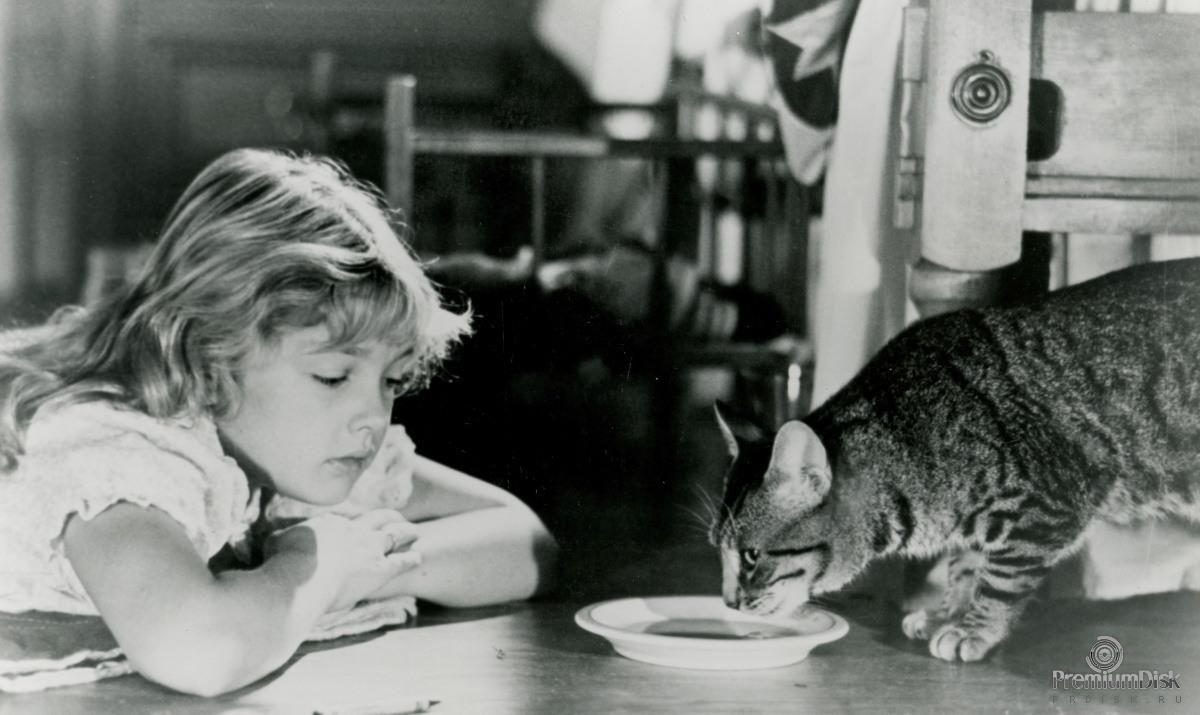 Смотреть Кошачий глаз (Cats Eye, 1985) видео Смотреть Кошачий глаз (Cats Eye, 1985) видео