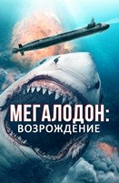 Мегалодон: Возрождение (2021) - DVD - DVD-R