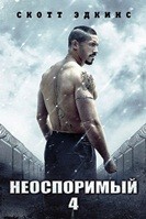 Неоспоримый 4 - DVD - DVD-R