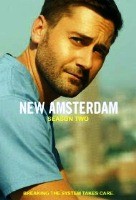 Новый Амстердам - DVD - 2 сезон, 18 серий. 6 двд-р