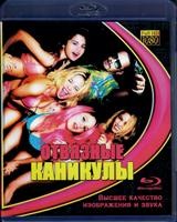 Отвязные каникулы (2012) - Blu-ray