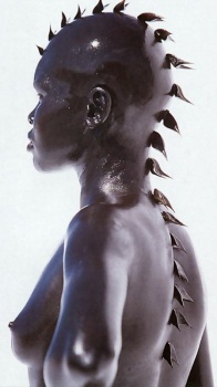 Фото Алек Век