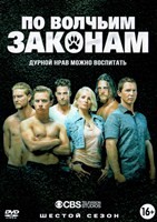 По волчьим законам - DVD - 6 сезон, 13 серий. 6 двд-р