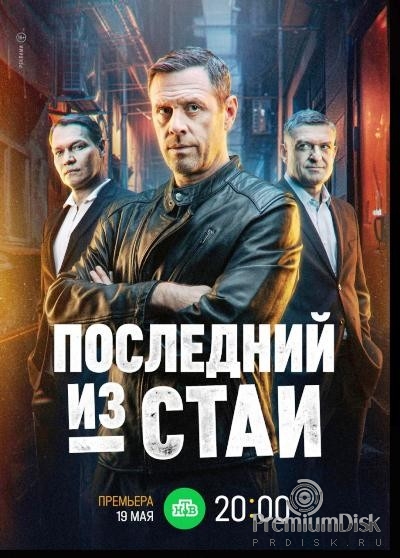 Последний из стаи