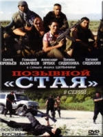 Позывной Стая - DVD - 8 серий. 4 двд-р