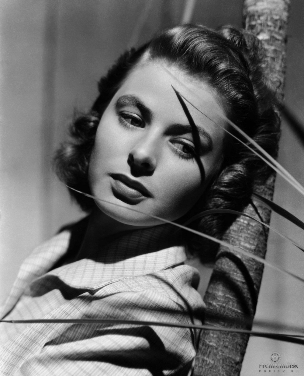 http://www.prdisk.ru/images/prdisk.ru_ingrid_bergman101.jpg
