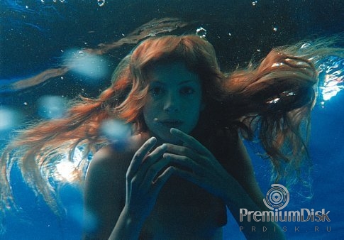 Найва Нимри Фото 1