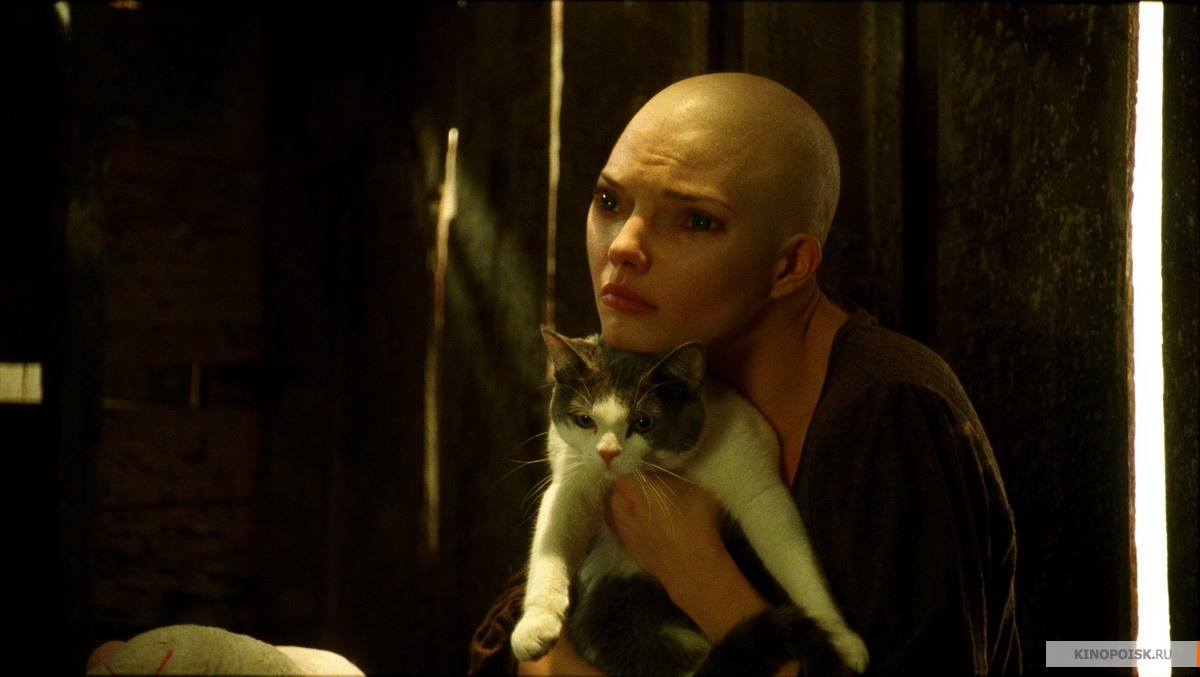 Плинио Фернандо Фото 15
