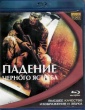 Чёрный ястреб