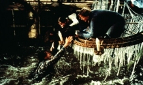 Фото Джуманджи (1995)