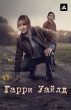 Гарри Уайлд (сериал)