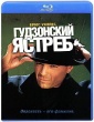 Гудзонский ястреб