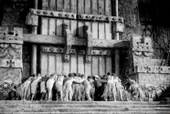 Фото Кинг Конг 1933