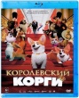 Королевский корги