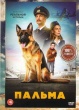 Пальма
