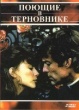Поющие в терновнике