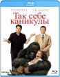 Так себе каникулы (2009)