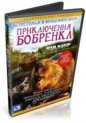 Приключения бобрёнка - DVD (упрощенное)
