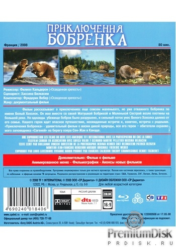 Приключения бобрёнка