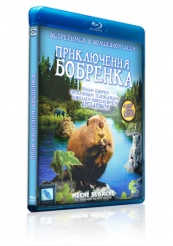 Приключения бобрёнка - Blu-ray