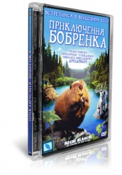 Приключения бобрёнка - DVD