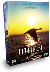 Птицы - DVD