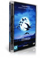 Птицы - DVD (стекло)
